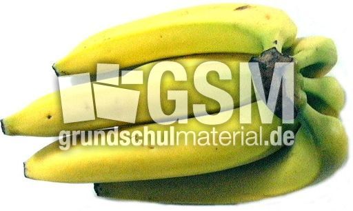Bananen-6.jpg